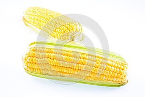 Corn on a white background photo